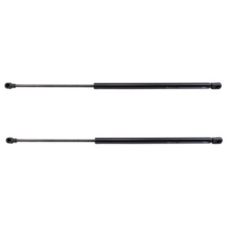 TRQ® - Driver and Passenger Side Liftgate Lift Support Set