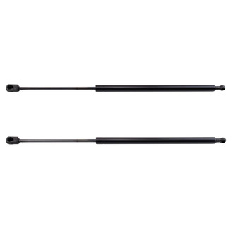 TRQ® - Driver and Passenger Side Liftgate Lift Support Set