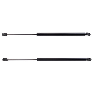 TRQ® - Driver and Passenger Side Liftgate Lift Support Set
