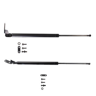 TRQ® - Driver and Passenger Side Liftgate Lift Support Set
