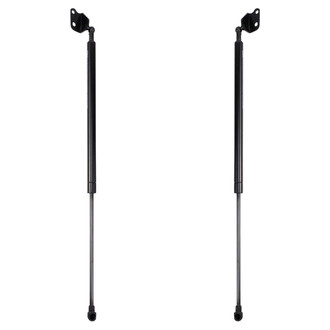 TRQ® - Driver and Passenger Side Liftgate Lift Support Set