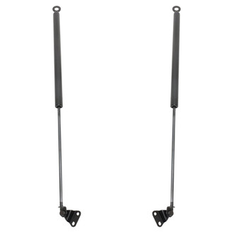 TRQ® - Driver and Passenger Side Liftgate Lift Support Set