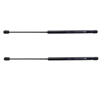 TRQ® - Driver and Passenger Side Trunk Lift Support Set