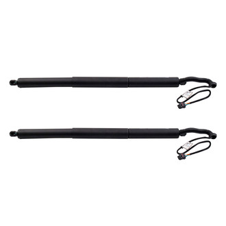 TRQ® - Driver and Passenger Side Liftgate Lift Support Set