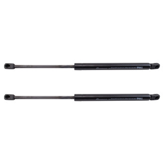 TRQ® - Driver and Passenger Side Liftgate Lift Support Set