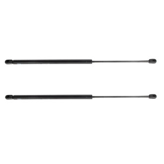 TRQ® - Driver and Passenger Side Liftgate Lift Support Set