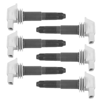 TRQ® - Ignition Coil Set