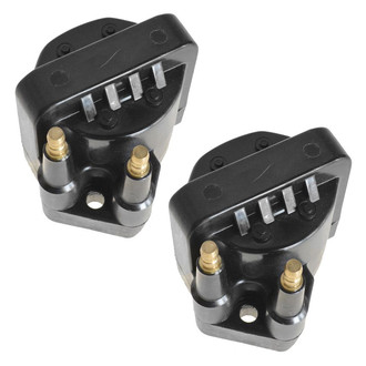 TRQ® - Ignition Coil Set