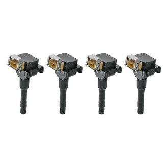 TRQ® - Ignition Coil Set