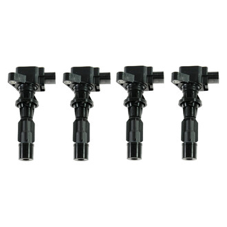 TRQ® - Ignition Coil Set