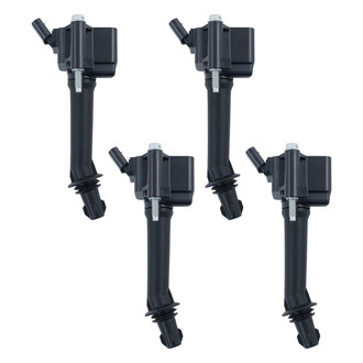TRQ® - Ignition Coil Set