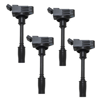 TRQ® - Ignition Coil Set
