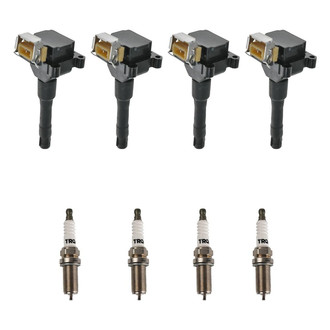 TRQ® - Ignition Coil Kit