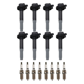 TRQ® - Ignition Coil Kit