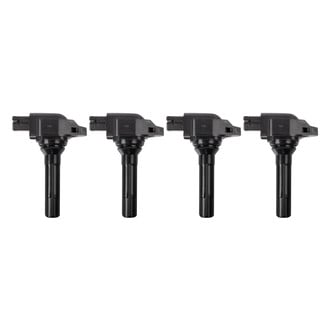 TRQ® - Ignition Coil Set