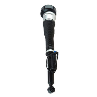 TRQ® - Rear Driver Side Air Suspension Strut