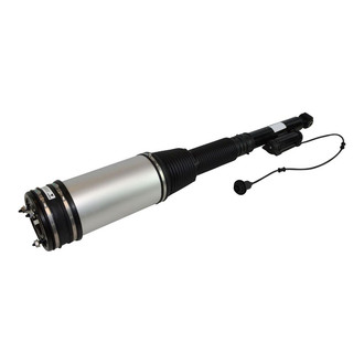 TRQ® - Rear Driver Side Air Suspension Strut