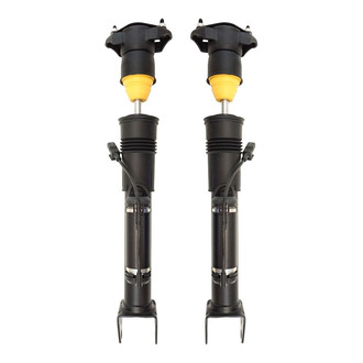 TRQ® - Rear Air Suspension Strut Set