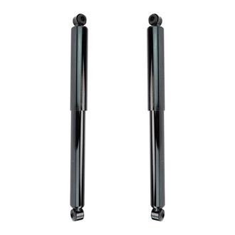 TRQ® - Front Shock and Strut