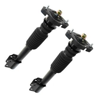 TRQ® - Rear Strut Kit