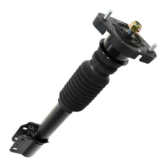 TRQ® - Rear Passenger Side Strut