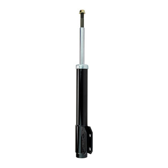 TRQ® - Front Driver or Passenger Side Strut