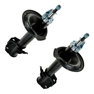 TRQ® - Rear Strut Kit