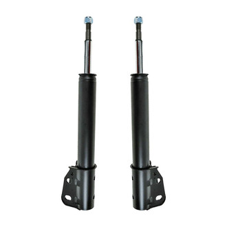 TRQ® - Rear Strut Kit