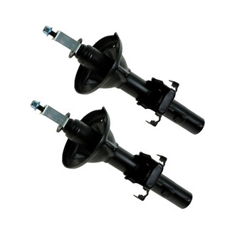 TRQ® - Rear Strut Kit