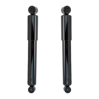TRQ® - Front Shock Absorber Set