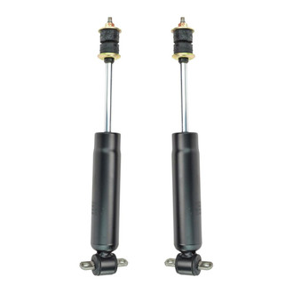 TRQ® - Front Shock Absorber Set