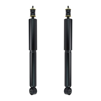 TRQ® - Rear Shock Absorber Set
