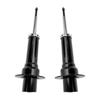 TRQ® - Front Shock Absorber Set
