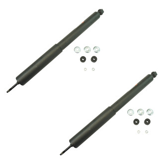 TRQ® - Rear Shock and Strut