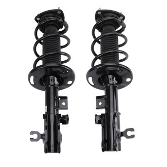 TRQ® - Complete Strut Assembly