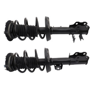 TRQ® - Complete Strut Assembly