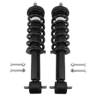 TRQ® - Front Shock and Strut