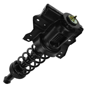 TRQ® - Rear Complete Strut Assembly