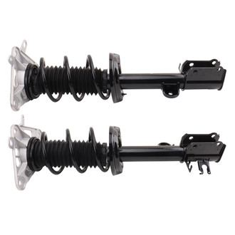 TRQ® - Rear Complete Strut Assembly Kit