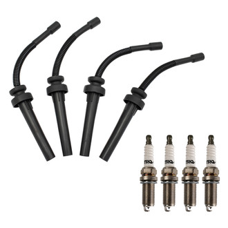 TRQ® - Ignition Kit
