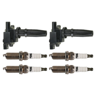 TRQ® - Ignition Kit