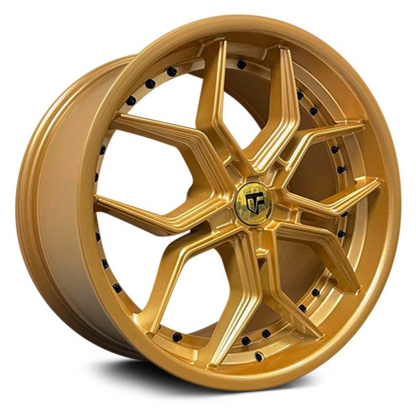 TRUFORM® - TF107 Gold with Black Rivets