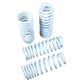 TruHart® - Lowering Spring Kit