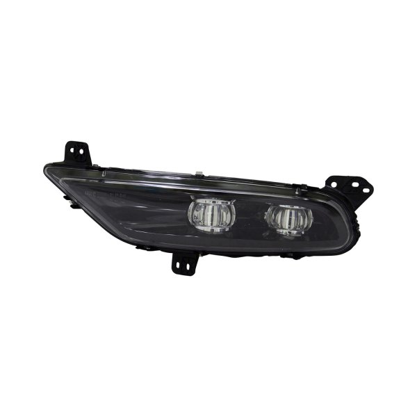 TruParts® - Driver Side Replacement Fog Light, Chrysler 300