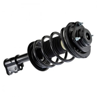 TruParts® - Pro-Strut™ Strut Assembly