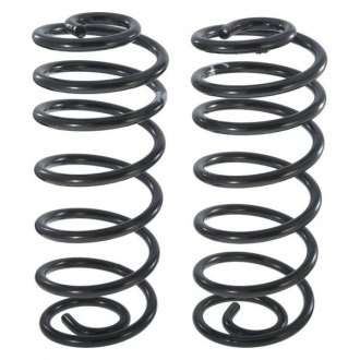 TruParts® - Rear Coil Springs