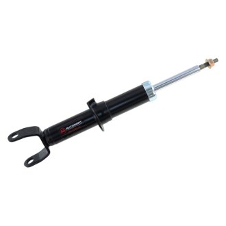 TruParts® - Front Strut Assembly