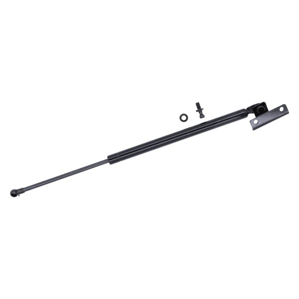 TruParts® - Driver Side Back Glass Lift Support