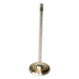 TRW® - Engine Valve
