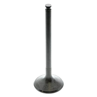 TRW® - Intake Valve